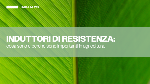 induttori di resistenza