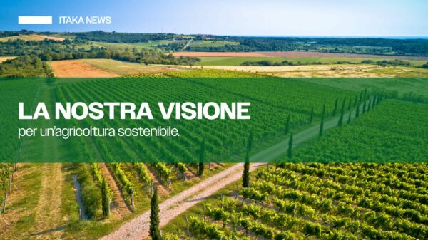 copertina articolo novembre 1