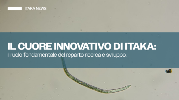 ARTICOLO DICEMBRE