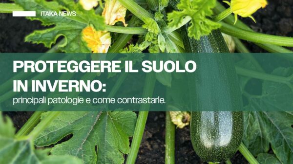 proteggere il suolo in inverno