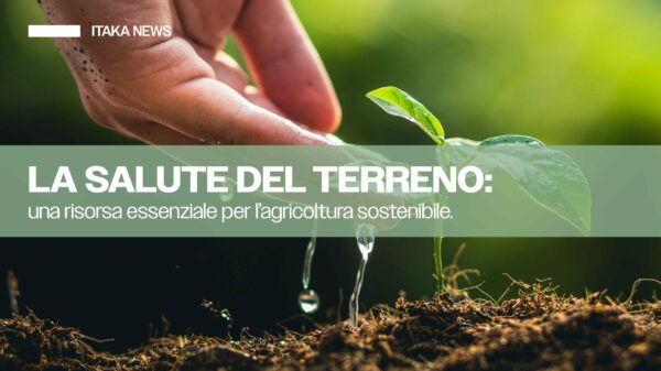 salute del terreno