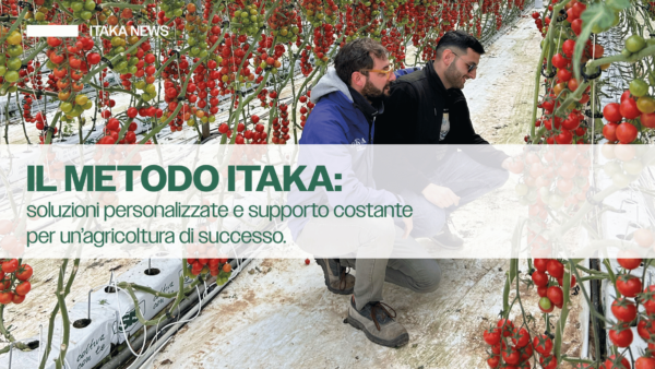 metodo itaka soluzioni personalizzate