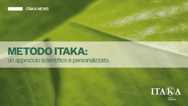 LINKEDIN BLOG MAGGIO.GIUGNO-14 (1)