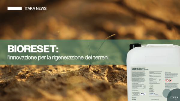 LINKEDIN BLOG MAGGIO.GIUGNO-15 (1)