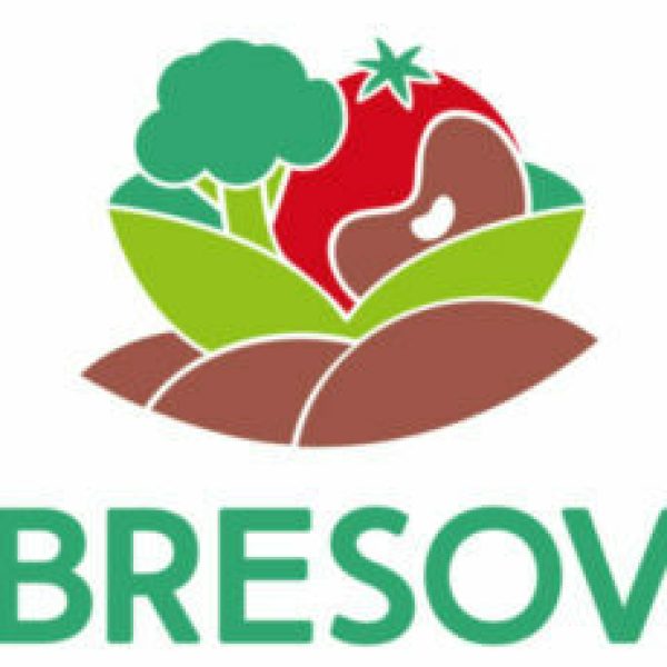 bresov-logo